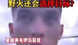 军情六处爆料视频在线观看,独家爆料视频带你直击神秘情报世界